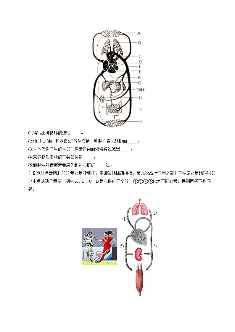 (9)人体消化、呼吸、循环、泌尿系统综合题——2022年中考生物真题专项汇编03