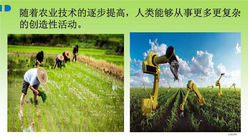 20.2 生物圈是生物的共同家园 苏教版生物八年级上册第6页