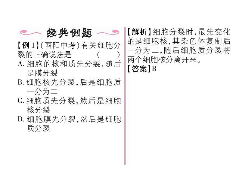 人教版七年级上册生物 2.2.1 细胞通过分裂产生新细胞 课件03