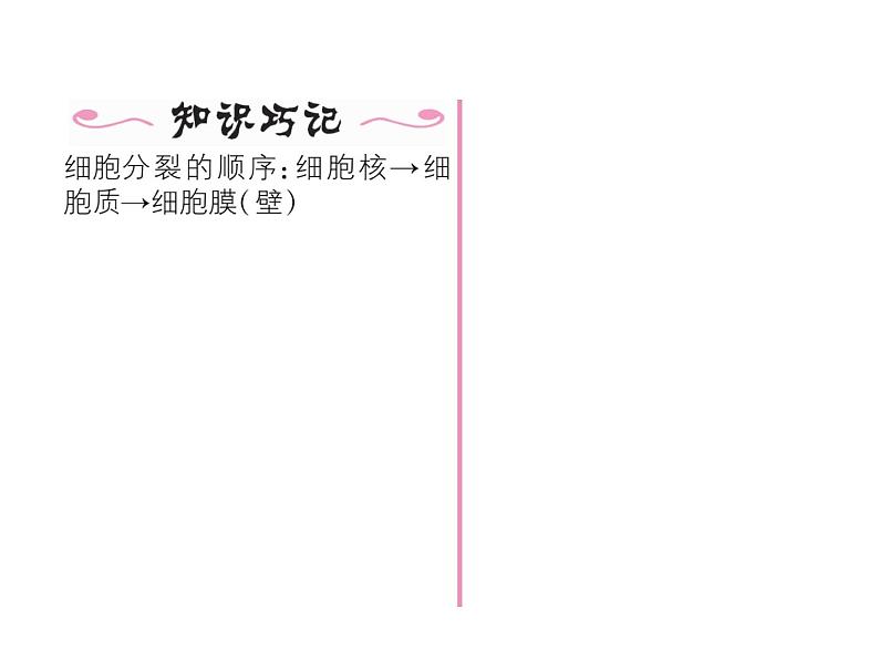 人教版七年级上册生物 2.2.1 细胞通过分裂产生新细胞 课件05