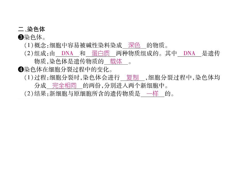 人教版七年级上册生物 2.2.1 细胞通过分裂产生新细胞 课件07