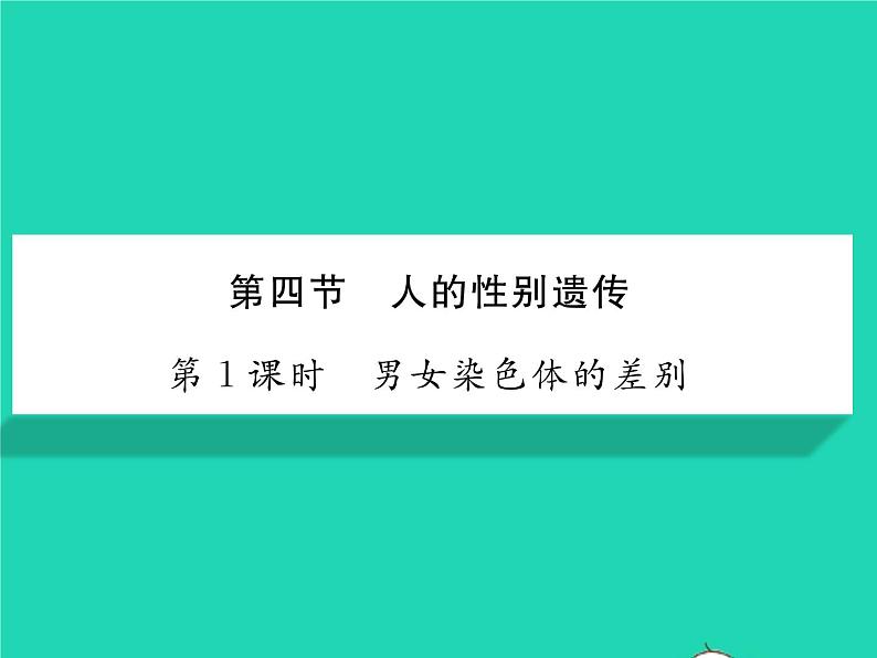 2022八年级生物下册第七单元生物圈中生命的延续和发展第二章生物的遗传与变异第四节人的性别遗传第1课时男女染色体的差别习题课件新版新人教版01
