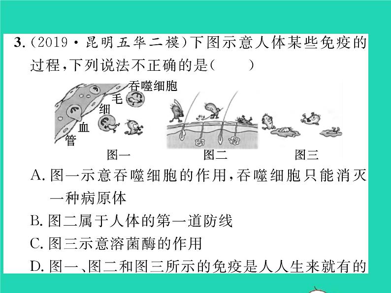 2022八年级生物下册第八单元降地生活第一章传染病和免疫第二节免疫与计划免疫第1课时人体的三道防线习题课件新版新人教版08