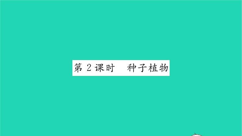 2022—2023学年度新版生物北师大版八年级下册第7单元生命的演化第22章物种的多样性第3节植物的主要类群第2课时种子植物习题课件第1页