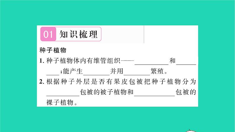 2022—2023学年度新版生物北师大版八年级下册第7单元生命的演化第22章物种的多样性第3节植物的主要类群第2课时种子植物习题课件第2页