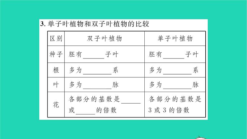 2022—2023学年度新版生物北师大版八年级下册第7单元生命的演化第22章物种的多样性第3节植物的主要类群第2课时种子植物习题课件第3页