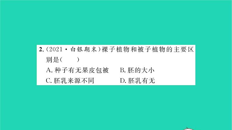 2022—2023学年度新版生物北师大版八年级下册第7单元生命的演化第22章物种的多样性第3节植物的主要类群第2课时种子植物习题课件第5页