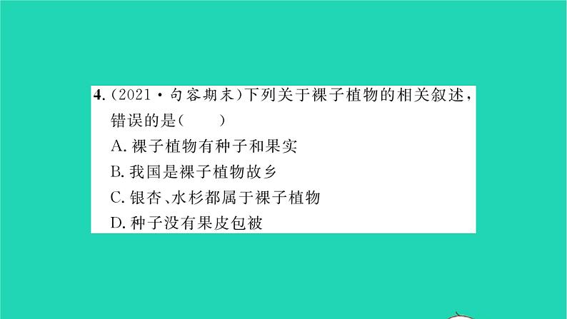 2022—2023学年度新版生物北师大版八年级下册第7单元生命的演化第22章物种的多样性第3节植物的主要类群第2课时种子植物习题课件第7页
