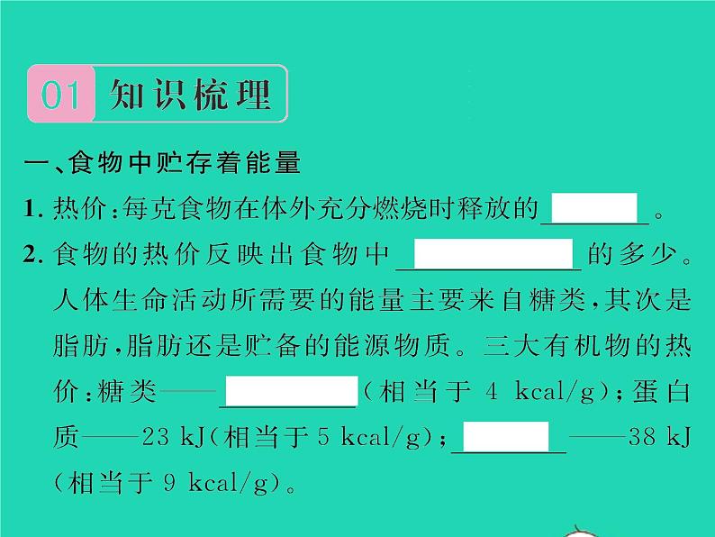 2022七年级生物下册第10章人体的能量供应第1节食物中能量的释放习题课件新版北师大版第2页