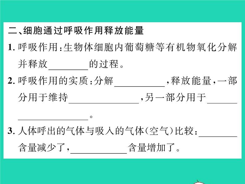 2022七年级生物下册第10章人体的能量供应第1节食物中能量的释放习题课件新版北师大版第3页