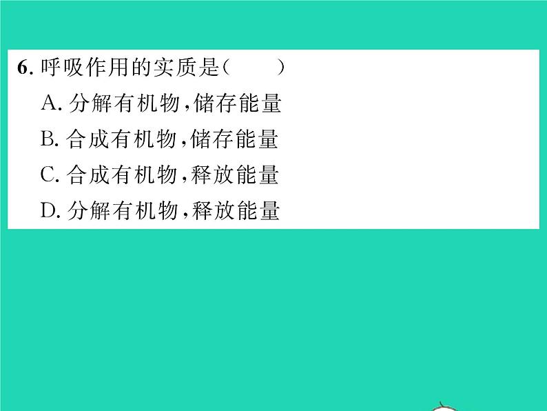 2022七年级生物下册第10章人体的能量供应第1节食物中能量的释放习题课件新版北师大版第8页