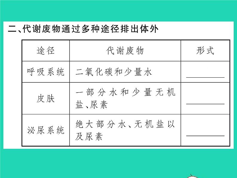 2022七年级生物下册第11章人体代谢废物的排出第1节人体产生的代谢废物习题课件新版北师大版第3页