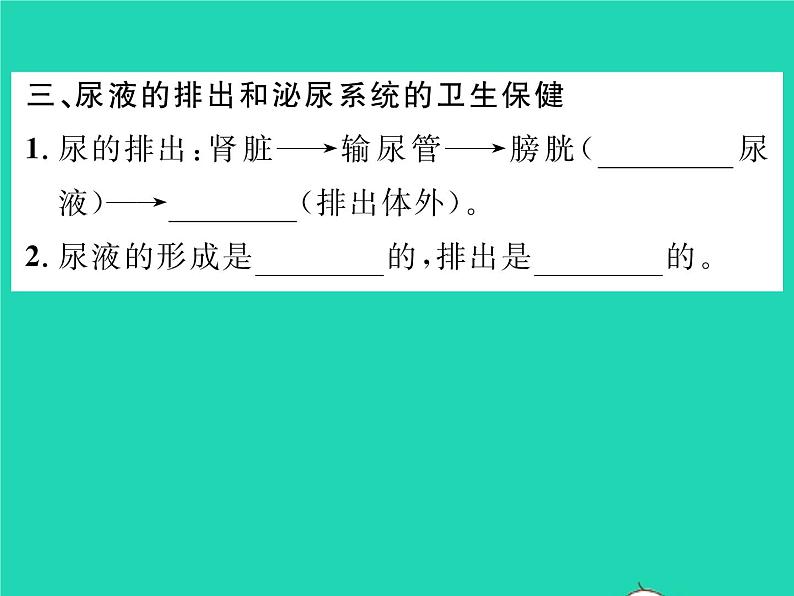 2022七年级生物下册第11章人体代谢废物的排出第2节尿的形成与排出习题课件新版北师大版第5页
