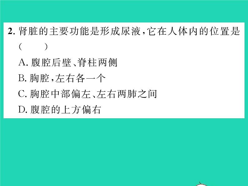 2022七年级生物下册第11章人体代谢废物的排出第2节尿的形成与排出习题课件新版北师大版第7页