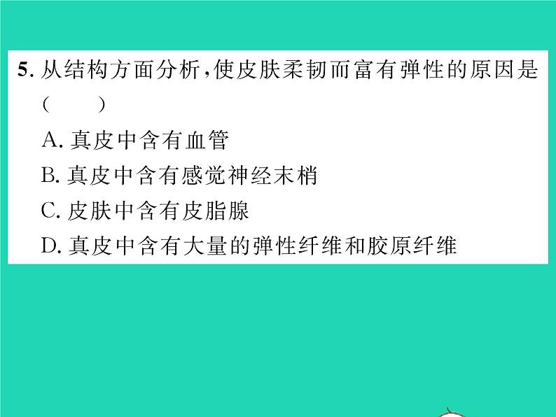 2022七年级生物下册第11章人体代谢废物的排出第3节皮肤与汗液分泌习题课件新版北师大版第8页