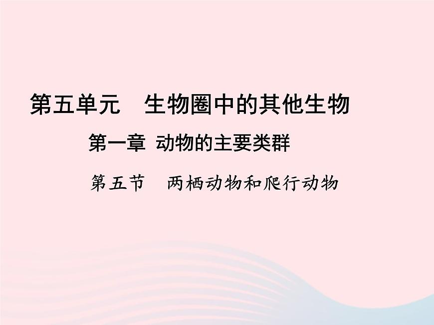 2022八年級生物上冊第一章動物的主要類群第五節(jié)兩棲動物和爬行動物教學(xué)課件1新版新人教版第1頁