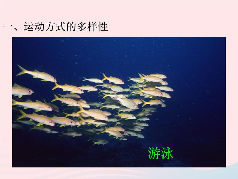 2022八年级生物上册第二章动物的运动和行为第一节动物的运动教学课件新版新人教版02