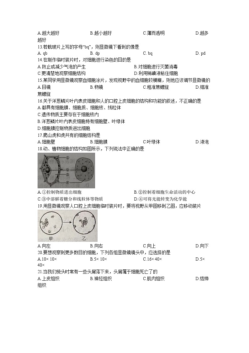 广东省揭阳市揭东区2022-2023学年七年级上学期期中生物试题(含答案)02