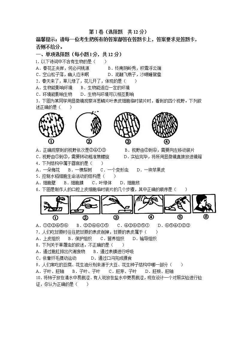 辽宁省鞍山市立山区2022-2023学年七年级上学期期中生物试题(含答案)第1页