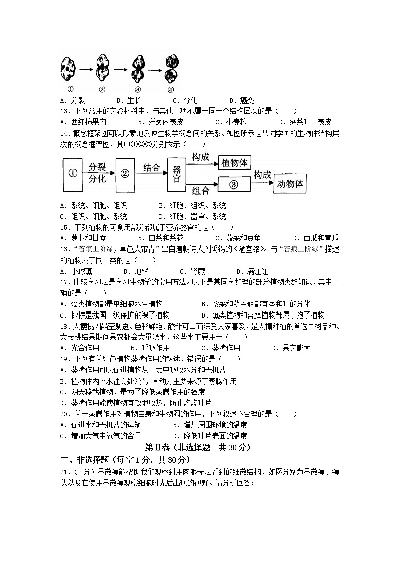 山东省济宁市曲阜市2022-2023学年七年级上学期期中生物试题(含答案)第3页