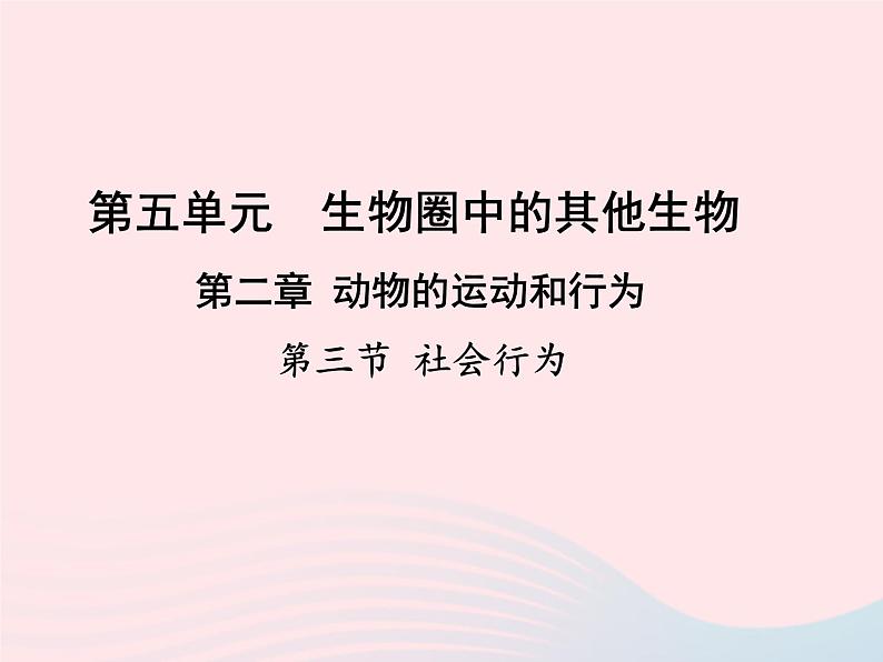 2022八年级生物上册第二章动物的运动和行为第三节社会行为教学课件新版新人教版01