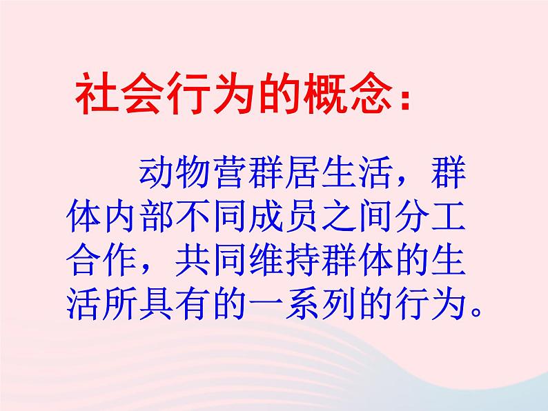 2022八年级生物上册第二章动物的运动和行为第三节社会行为教学课件新版新人教版07