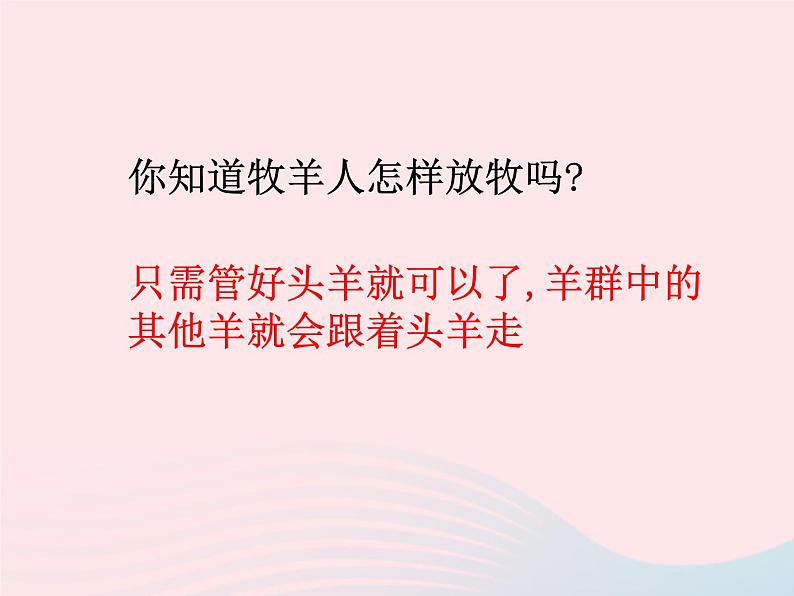 2022八年级生物上册第二章动物的运动和行为第三节社会行为教学课件新版新人教版08