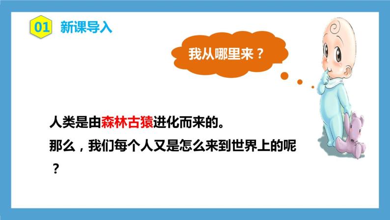 4.1.2《人的生殖》课件+教案+习题03