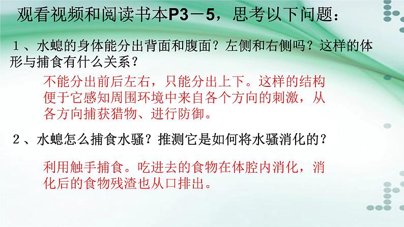 1.1 腔肠动物和扁形动物(课件)-八年级生物上册同步备课(人教版)06