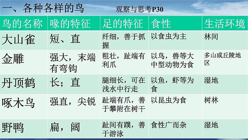 1.6 鸟(课件)-八年级生物上册同步备课(人教版)05