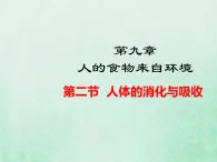 苏教版七年级生物下册第4单元生物圈中的人第9章人的食物来自环境第2节人体的消化与的吸收2课件