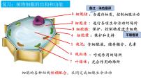 人教版 (新课标)七年级上册第三节 动物细胞教学课件ppt