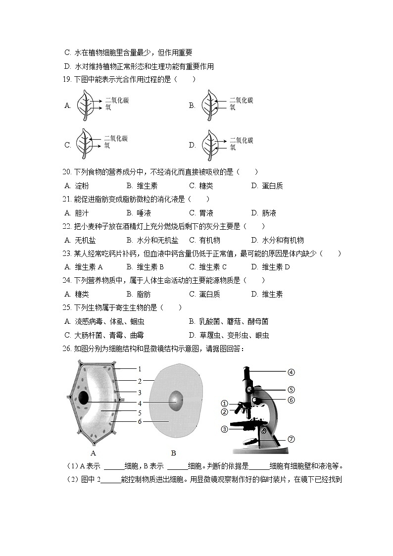 2021-2022学年北京市大兴区七年级(上)期末生物试卷(含答案解析)第3页