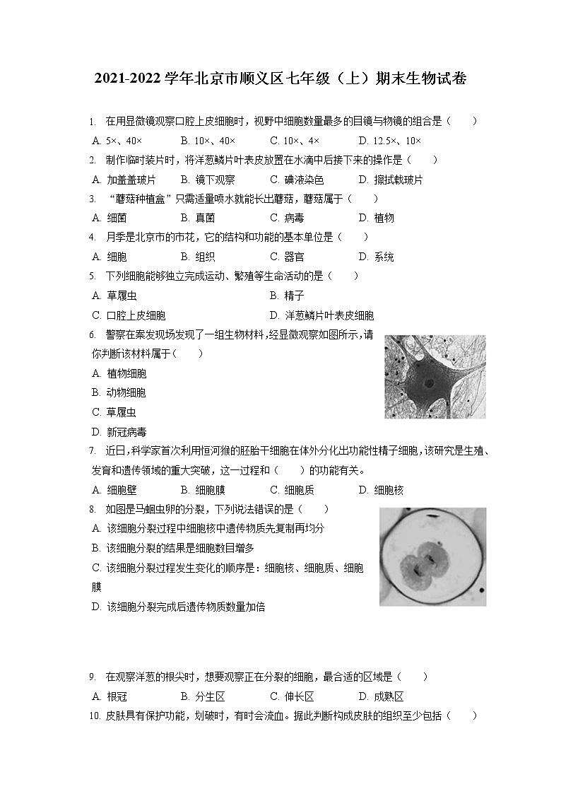 2021-2022學年北京市順義區(qū)七年級(上)期末生物試卷(含答案解析)第1頁