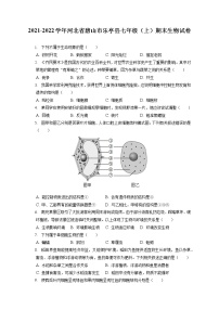2021-2022学年河北省唐山市乐亭县七年级（上）期末生物试卷(含答案解析)