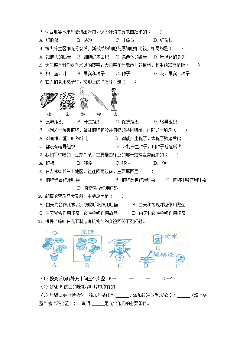 2021-2022学年吉林省白城市大安市七年级(上)期末生物试卷(含答案解析)第2页