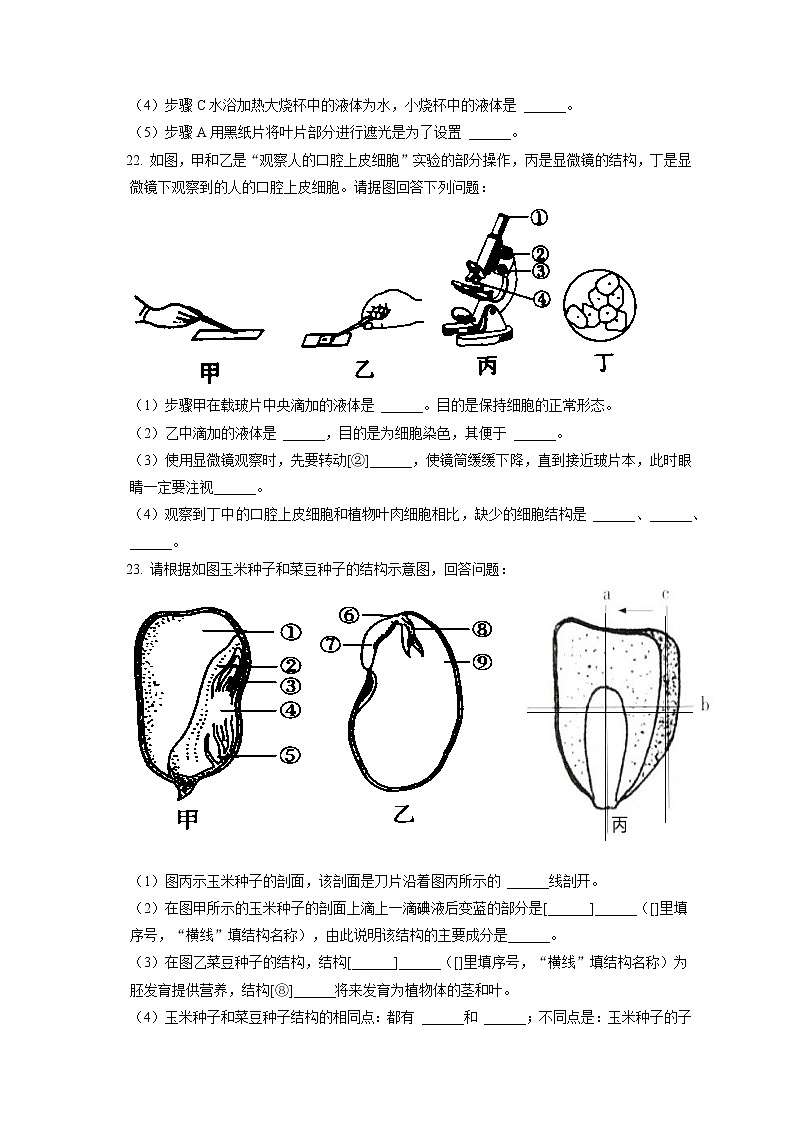 2021-2022学年吉林省白城市大安市七年级(上)期末生物试卷(含答案解析)第3页