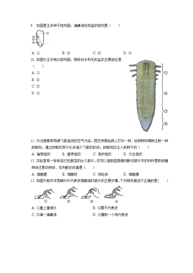 2021-2022學(xué)年山西省太原市七年級(jí)（上）期末生物試卷(含答案解析)第2頁(yè)