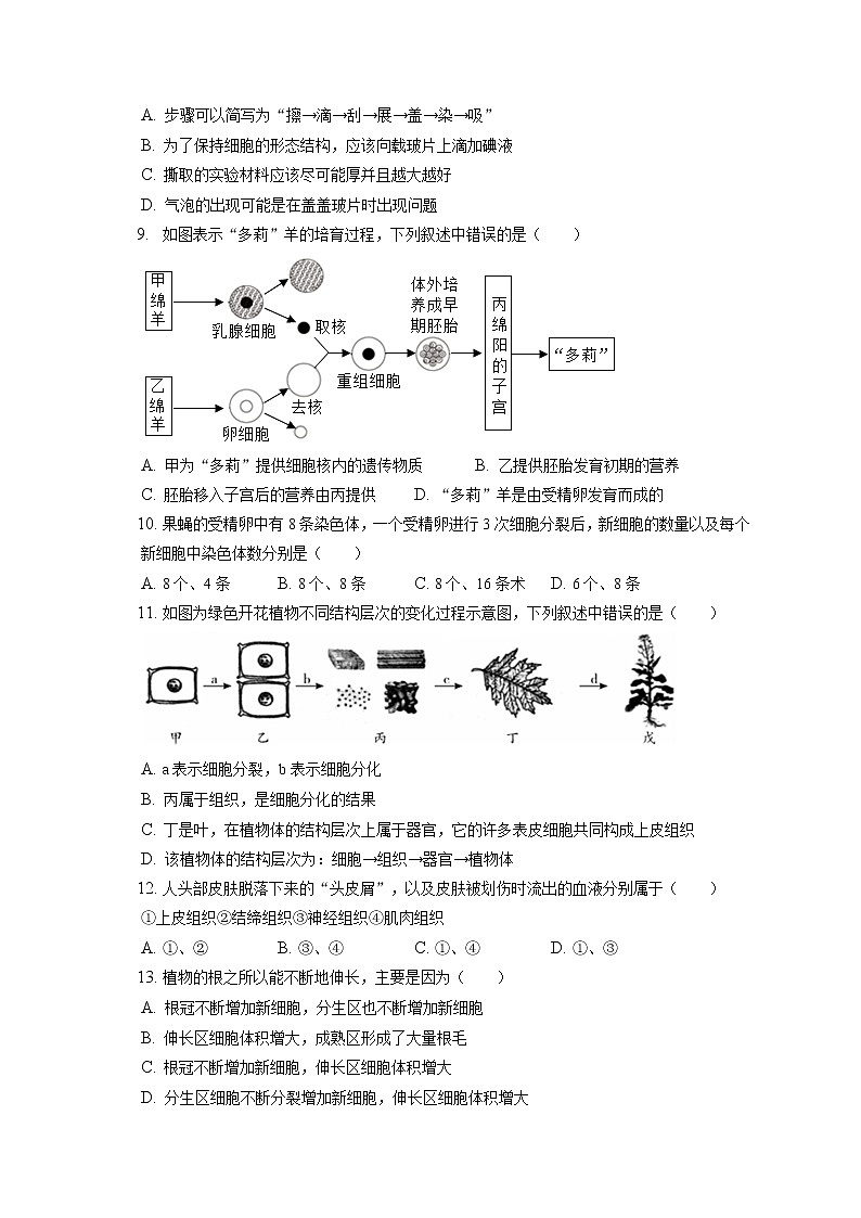 2021-2022学年天津市河西区七年级(上)期末生物试卷(含答案解析)第2页