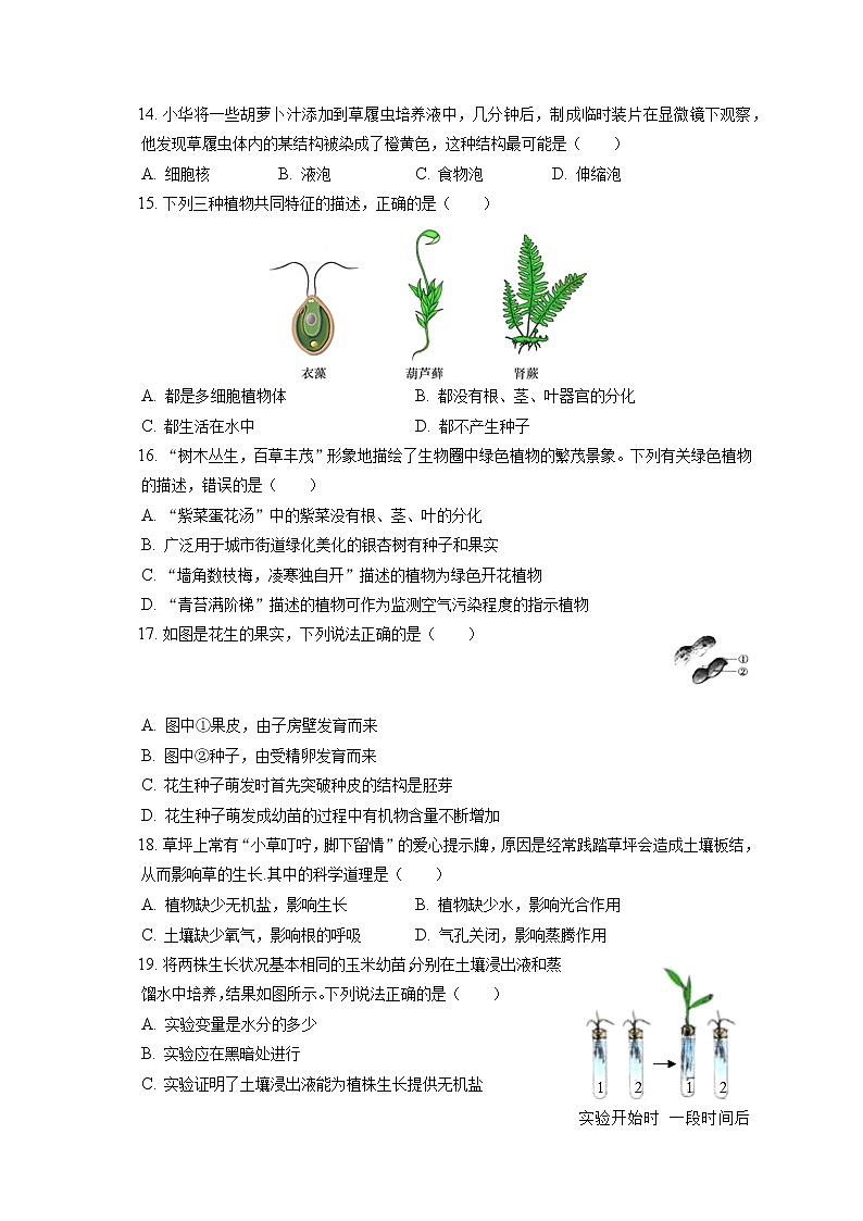 2021-2022学年天津市河西区七年级(上)期末生物试卷(含答案解析)第3页