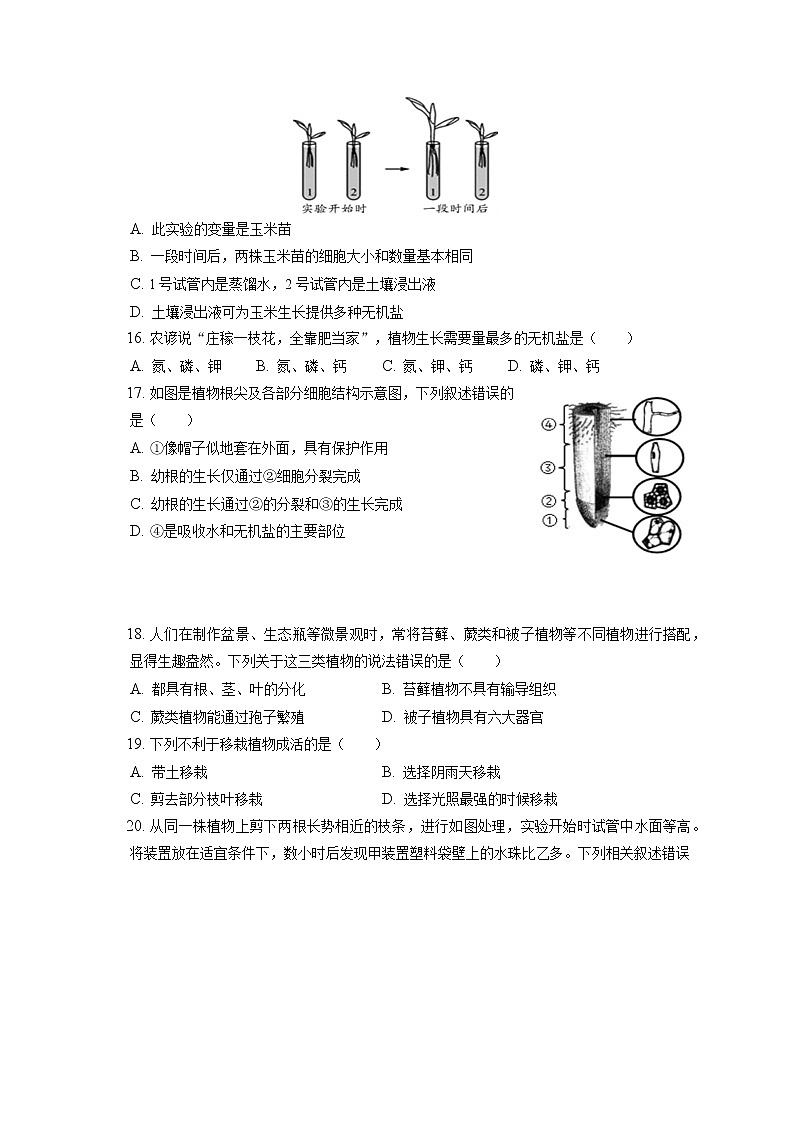 2021-2022学年天津市红桥区七年级(上)期末生物试卷(含答案解析)第3页
