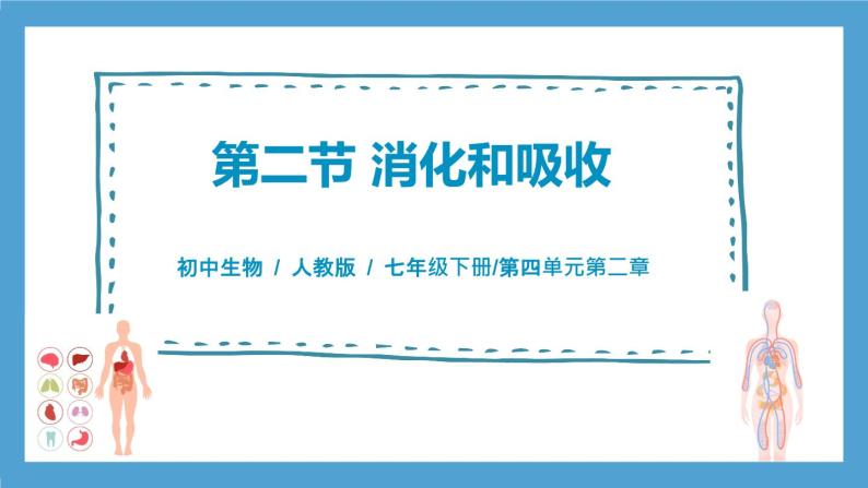 4.2.2《消化和吸收》课件+教案+习题01