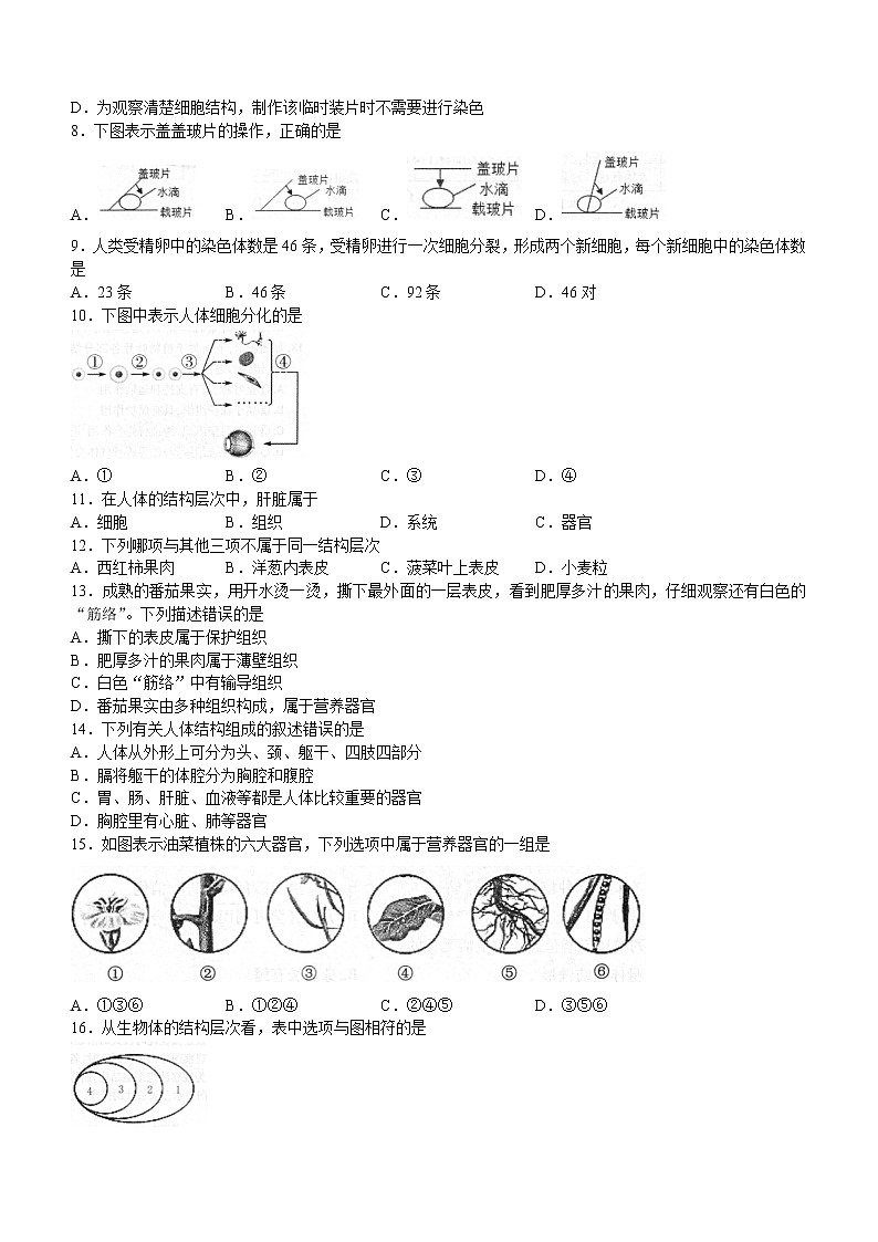 江苏省徐州市铜山区2021-2022学年七年级下学期期中生物试题 (含答案)02