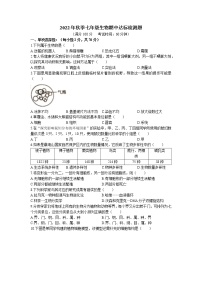 海南省临高县 2022-2023学年七年级上学期期中生物试题（含答案）