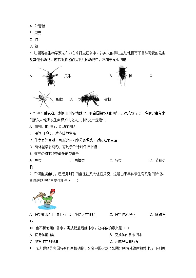 贵州省六盘水市2022-2023学年八年级上学期期中生物试题02