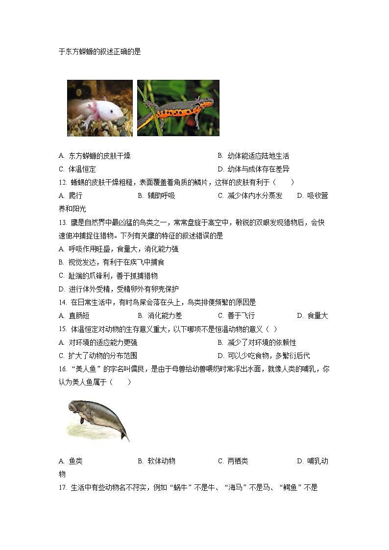 贵州省六盘水市2022-2023学年八年级上学期期中生物试题03