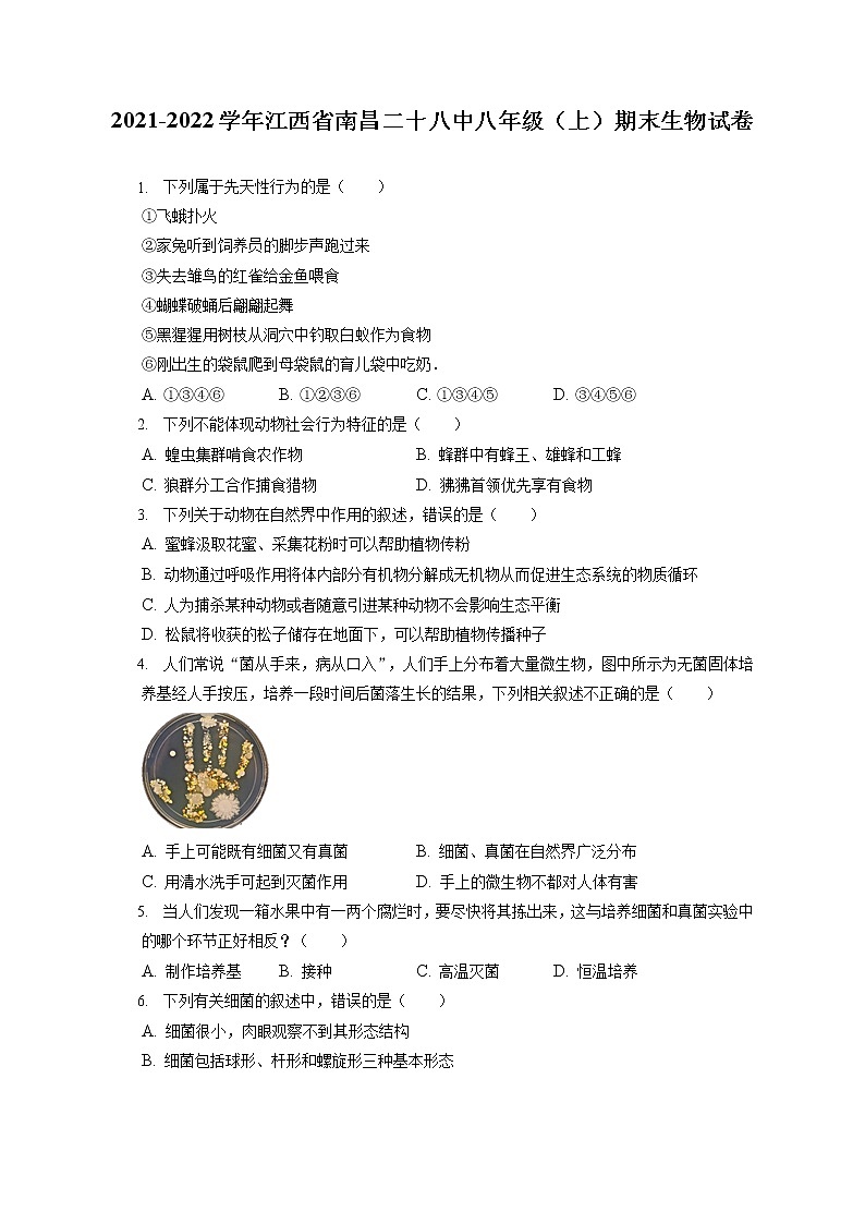2021-2022学年江西省南昌二十八中八年级(上)期末生物试卷(含答案解析)01
