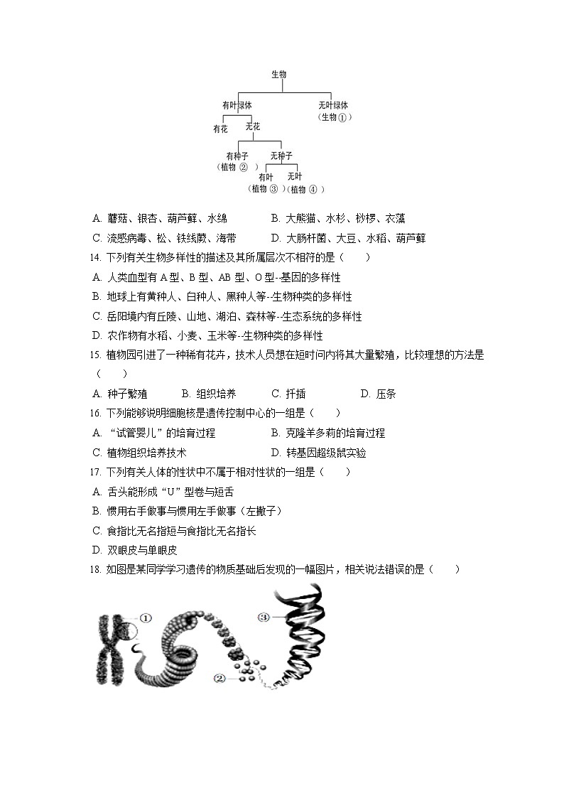 2021-2022学年江西省新余市八年级(上)期末生物试卷(含答案解析)第3页