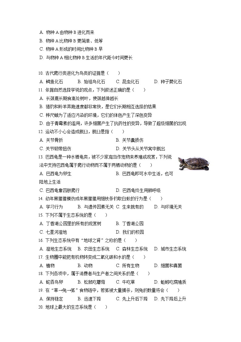 2021-2022学年辽宁省沈阳市于洪区八年级(上)期末生物试卷(含答案解析)第2页