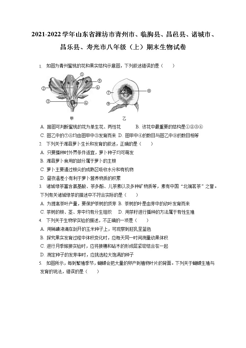 2021-2022学年山东省潍坊市青州市、临朐县、昌邑县、诸城市、昌乐县、寿光市八年级(上)期末生物试卷(含答案解析)第1页